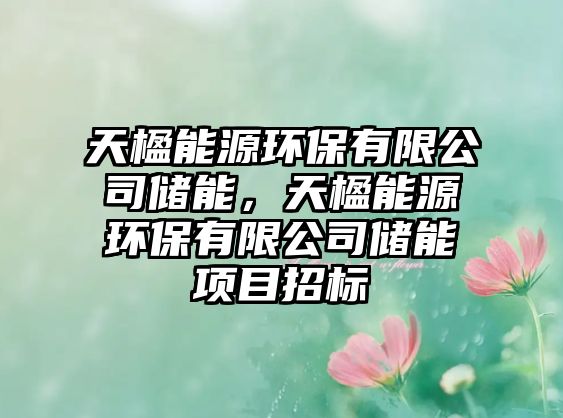 天楹能源環(huán)保有限公司儲(chǔ)能，天楹能源環(huán)保有限公司儲(chǔ)能項(xiàng)目招標(biāo)