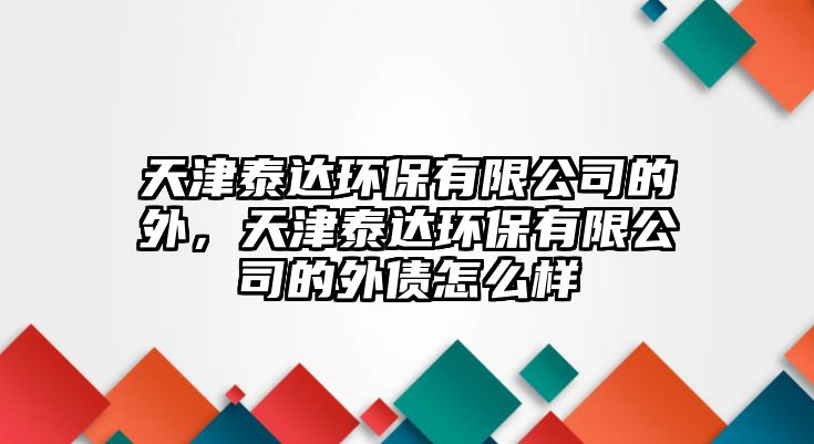 天津泰達(dá)環(huán)保有限公司的外，天津泰達(dá)環(huán)保有限公司的外債怎么樣