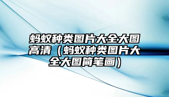 螞蟻種類圖片大全大圖高清（螞蟻種類圖片大全大圖簡(jiǎn)筆畫(huà)）