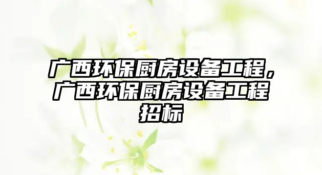 廣西環(huán)保廚房設(shè)備工程，廣西環(huán)保廚房設(shè)備工程招標(biāo)