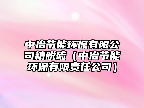 中冶節(jié)能環(huán)保有限公司精脫硫（中冶節(jié)能環(huán)保有限責(zé)任公司）