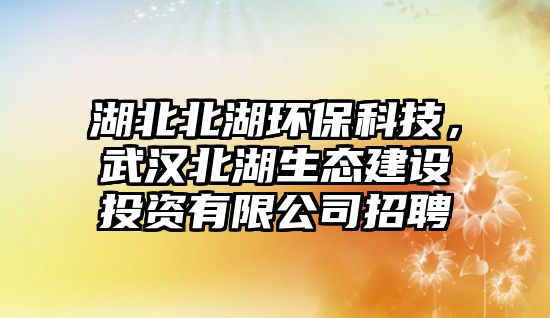 湖北北湖環(huán)?？萍?，武漢北湖生態(tài)建設(shè)投資有限公司招聘