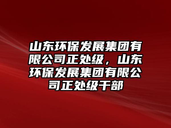 山東環(huán)保發(fā)展集團有限公司正處級，山東環(huán)保發(fā)展集團有限公司正處級干部