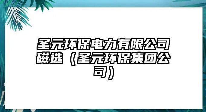 圣元環(huán)保電力有限公司磁選（圣元環(huán)保集團公司）