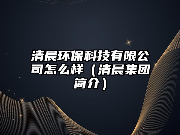 清晨環(huán)保科技有限公司怎么樣（清晨集團簡介）