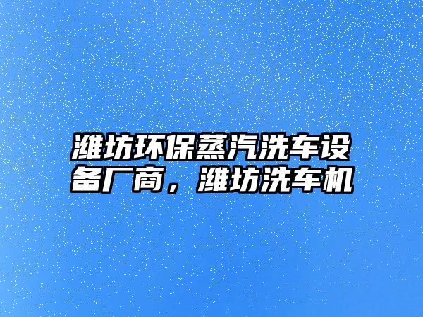 濰坊環(huán)保蒸汽洗車設(shè)備廠商，濰坊洗車機(jī)