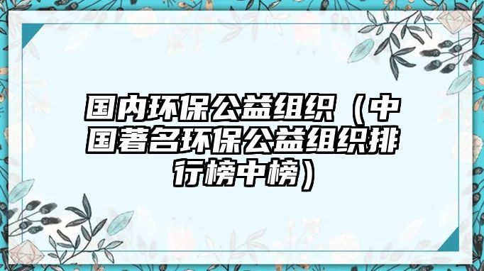 國內環(huán)保公益組織（中國著名環(huán)保公益組織排行榜中榜）