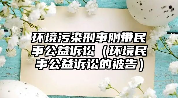 環(huán)境污染刑事附帶民事公益訴訟（環(huán)境民事公益訴訟的被告）