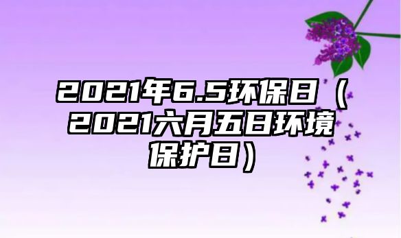 2021年6.5環(huán)保日（2021六月五日環(huán)境保護日）