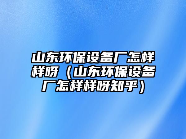 山東環(huán)保設(shè)備廠怎樣樣呀（山東環(huán)保設(shè)備廠怎樣樣呀知乎）