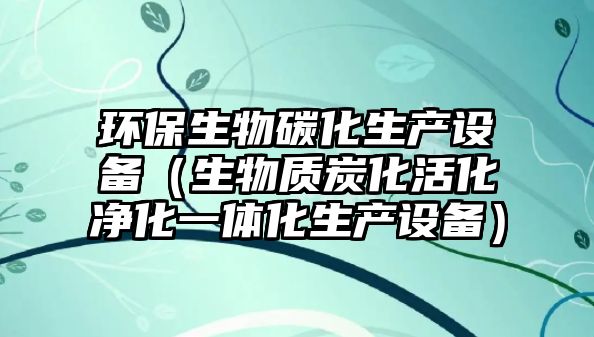 環(huán)保生物碳化生產(chǎn)設(shè)備（生物質(zhì)炭化活化凈化一體化生產(chǎn)設(shè)備）