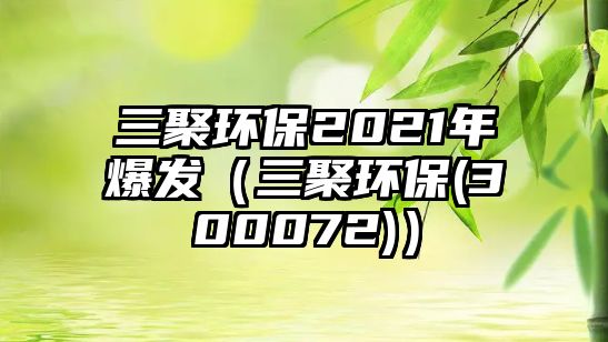 三聚環(huán)保2021年爆發(fā)（三聚環(huán)保(300072)）