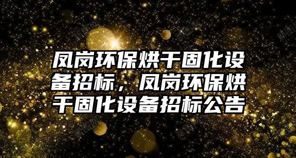 鳳崗環(huán)保烘干固化設備招標，鳳崗環(huán)保烘干固化設備招標公告