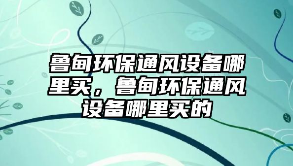 魯?shù)榄h(huán)保通風設備哪里買，魯?shù)榄h(huán)保通風設備哪里買的