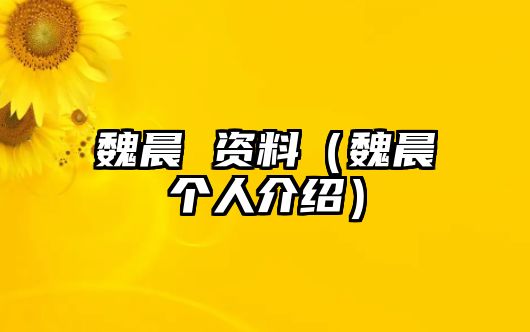 魏晨 資料（魏晨個(gè)人介紹）