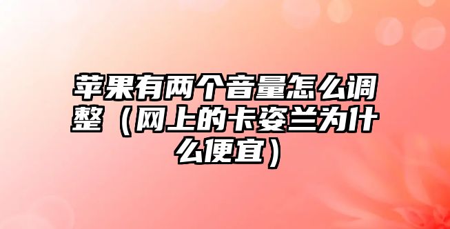 蘋果有兩個音量怎么調整（網(wǎng)上的卡姿蘭為什么便宜）