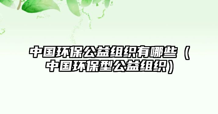 中國環(huán)保公益組織有哪些（中國環(huán)保型公益組織）