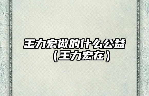 王力宏做的什么公益（王力宏在）