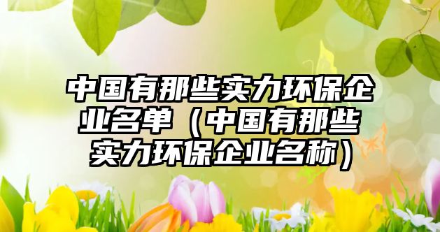 中國有那些實力環(huán)保企業(yè)名單（中國有那些實力環(huán)保企業(yè)名稱）