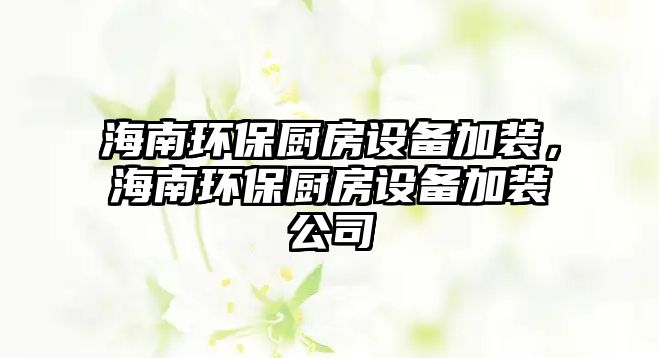 海南環(huán)保廚房設(shè)備加裝，海南環(huán)保廚房設(shè)備加裝公司