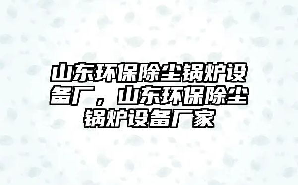 山東環(huán)保除塵鍋爐設(shè)備廠，山東環(huán)保除塵鍋爐設(shè)備廠家