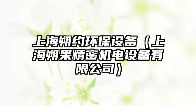 上海朔約環(huán)保設備（上海朔果精密機電設備有限公司）