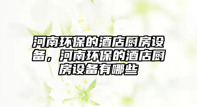 河南環(huán)保的酒店廚房設備，河南環(huán)保的酒店廚房設備有哪些