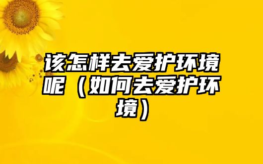 該怎樣去愛護(hù)環(huán)境呢（如何去愛護(hù)環(huán)境）