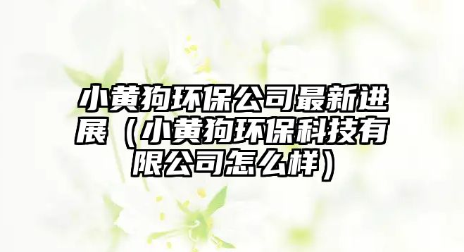 小黃狗環(huán)保公司最新進展（小黃狗環(huán)?？萍加邢薰驹趺礃樱? class=