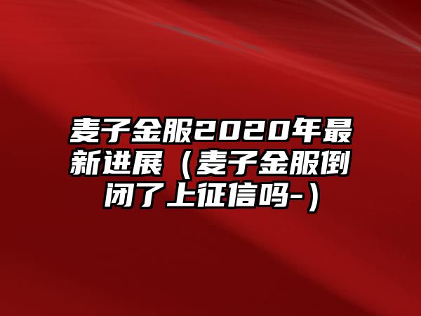 麥子金服2020年最新進(jìn)展（麥子金服倒閉了上征信嗎-）