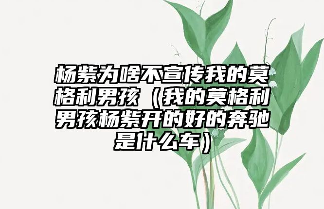 楊紫為啥不宣傳我的莫格利男孩（我的莫格利男孩楊紫開的好的奔馳是什么車）