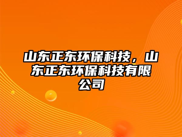 山東正東環(huán)保科技，山東正東環(huán)?？萍加邢薰? class=