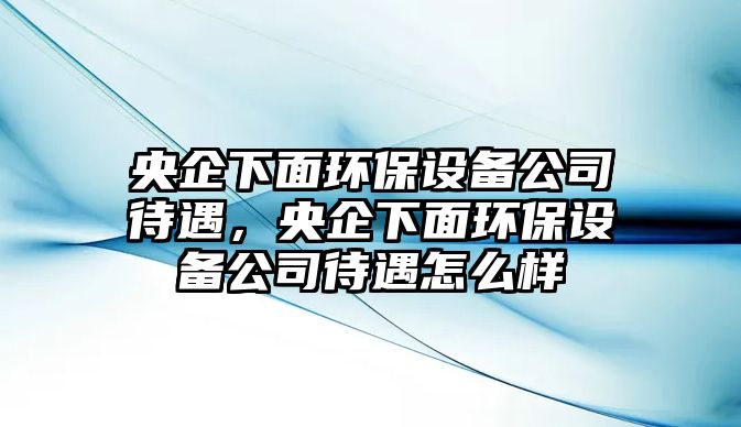 央企下面環(huán)保設備公司待遇，央企下面環(huán)保設備公司待遇怎么樣