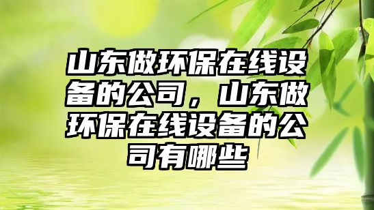 山東做環(huán)保在線設備的公司，山東做環(huán)保在線設備的公司有哪些