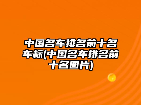 中國名車排名前十名車標(biāo)(中國名車排名前十名圖片)