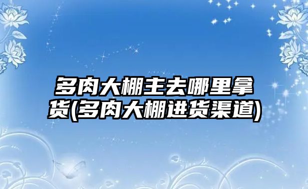 多肉大棚主去哪里拿貨(多肉大棚進(jìn)貨渠道)