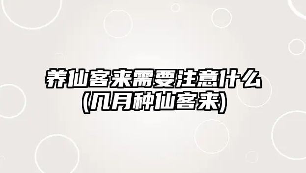 養(yǎng)仙客來(lái)需要注意什么(幾月種仙客來(lái))