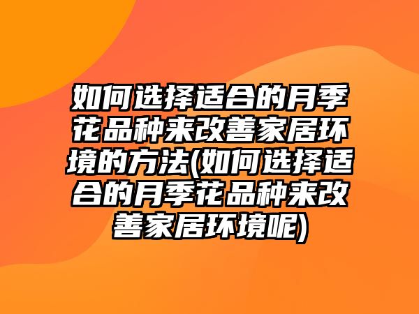 如何選擇適合的月季花品種來改善家居環(huán)境的方法(如何選擇適合的月季花品種來改善家居環(huán)境呢)