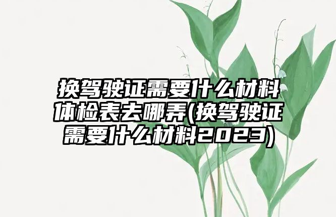 換駕駛證需要什么材料體檢表去哪弄(換駕駛證需要什么材料2023)