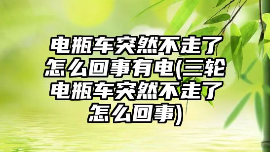 電瓶車突然不走了怎么回事有電(三輪電瓶車突然不走了怎么回事)