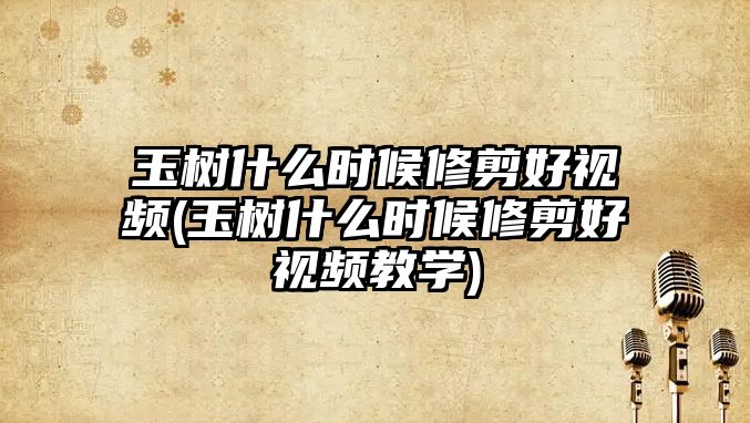 玉樹什么時候修剪好視頻(玉樹什么時候修剪好視頻教學(xué))