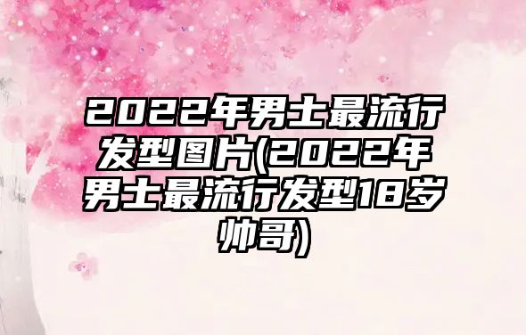 2022年男士最流行發(fā)型圖片(2022年男士最流行發(fā)型18歲帥哥)