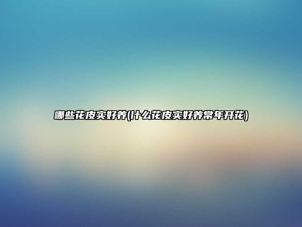 哪些花皮實(shí)好養(yǎng)(什么花皮實(shí)好養(yǎng)常年開花)