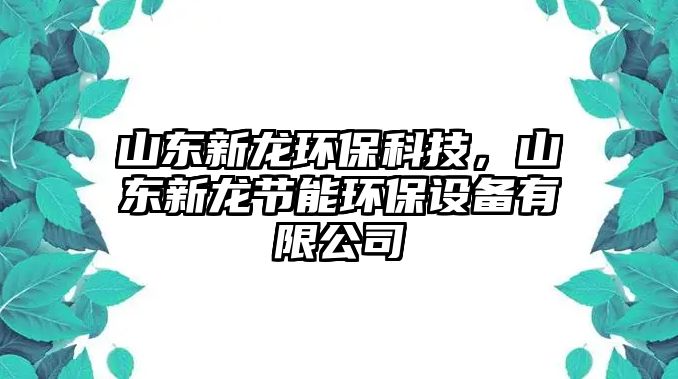 山東新龍環(huán)?？萍迹綎|新龍節(jié)能環(huán)保設(shè)備有限公司