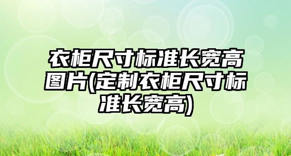 衣柜尺寸標準長寬高圖片(定制衣柜尺寸標準長寬高)