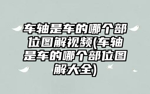 車軸是車的哪個部位圖解視頻(車軸是車的哪個部位圖解大全)