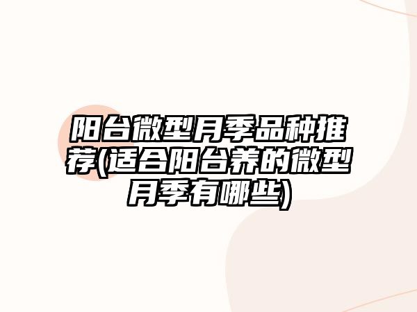 陽臺微型月季品種推薦(適合陽臺養(yǎng)的微型月季有哪些)