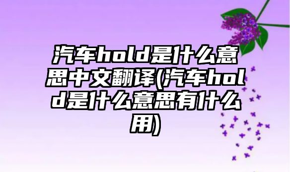 汽車hold是什么意思中文翻譯(汽車hold是什么意思有什么用)