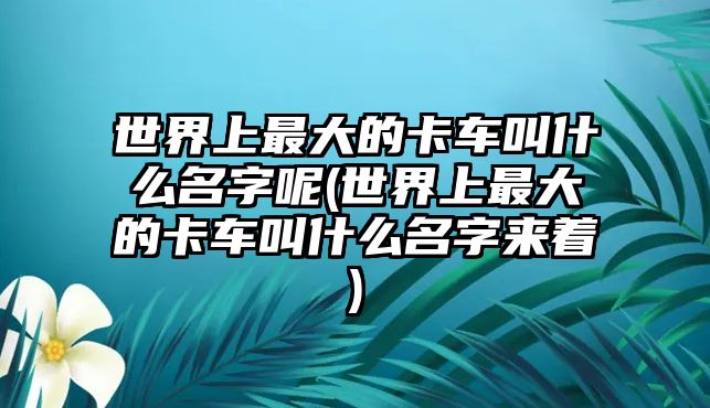 世界上最大的卡車叫什么名字呢(世界上最大的卡車叫什么名字來(lái)著)