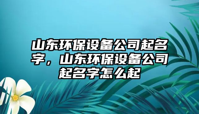 山東環(huán)保設(shè)備公司起名字，山東環(huán)保設(shè)備公司起名字怎么起